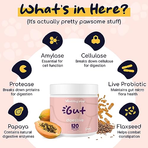Dog Probiotics and Digestive Enzymes, 120 Delicious Chew Treats for Gut Health, Diarrhea, and Constipation – Hydrolyzes Nutrients for Better Absorption Dog Probiotics and Digestive Enzymes, 120 Delicious Chew Treats for Gut Health, Diarrhea, and Constipation – Hydrolyzes Nutrients for Better Absorption
