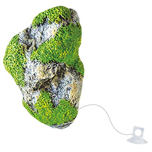 wave Floating Rock Beauty Ornaments, Medium