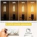 Grensk Dimmable Tubular Light Bulbs 40Watt,4W E26 T10 LED Type T Bulbs,2700K Warm White Long Edison Light Bulbs for Chandelier Light or Industrial Wall Sconces,400Lumens,4.96 inches,2Pcs
