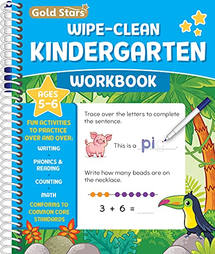 Lodi Publishing MY-4159 Wipe Clean Kindergarten Workbook cover