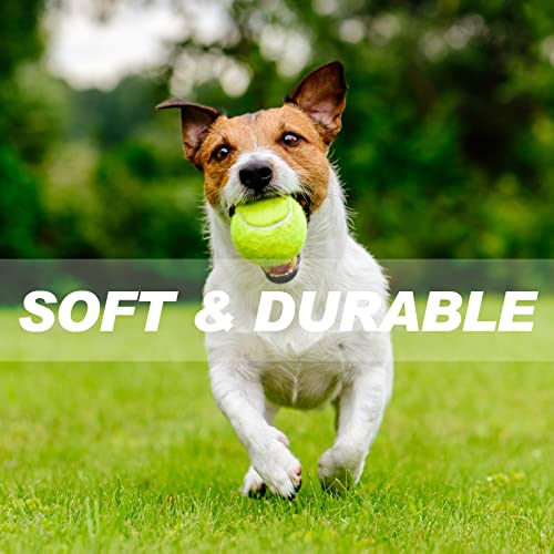 Vinsot 24 Pieces Training Tennis Balls Bulk Dog Tennis Balls Playing Toys Rubber Felt Tennis Balls For Training Exercise And Practice #TOP3