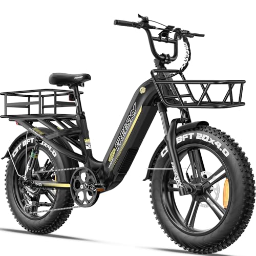 FREESKY 1800W Electric Bike for Adults,105 Miles 48V 25Ah Battery
