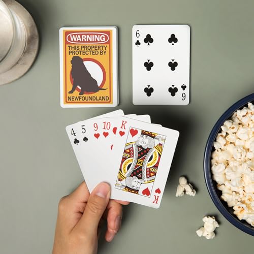Lantern Press naipes poker 52 cartas para adultos miniatura 2