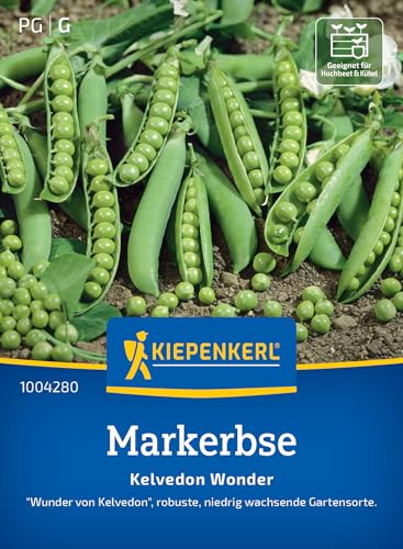 Kiepenkerl Markerbsensamen Kelvedon Wonder 1004280 - Robuste Erbsensamen für kleine Gärten ideal für Hochbeet & Kübel süße Hülsenfrüchte Gemüsesamen für 8-10 lfd. Meter