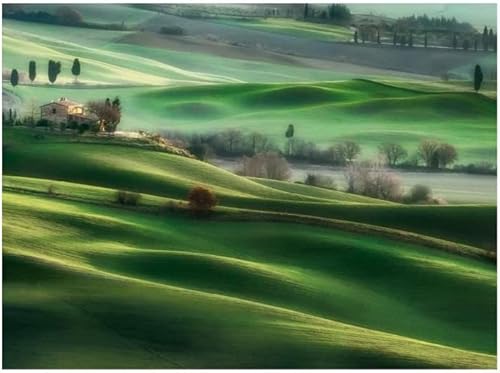 Miniatura 4 de Clementoni Collection 35098 - Rompecabezas para niños y adultos, 500 piezas, a partir de 10 años, multicolor