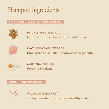 dae Signature Duo Set (Shampooo + Conditioner) | Strengthens strands, removes buildup without stripping, hydrates scalp, signature citrus scent, vegan, sulfate-free