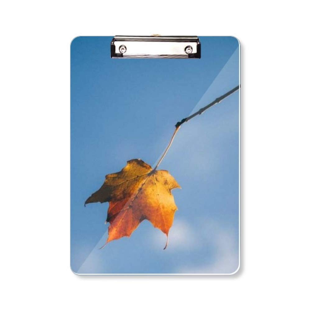 Dossier bloc-notes Sky Maple imprimé paysage et nature avec surface rigide A4 - 5