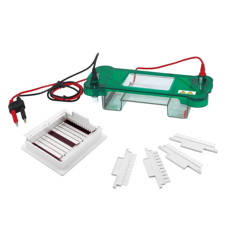 Horizontal Electrophoresis Clinic Cell Tank Transfer