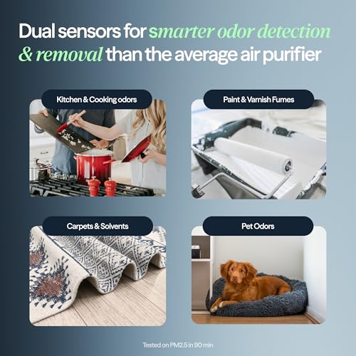 True HEPA Air Purifier for Allergies