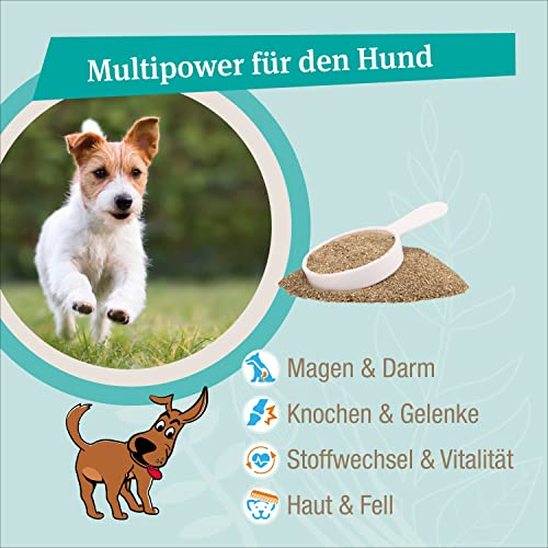 proKyne FUNCTIONAL NUTRITION 200g Kräuter Pulver | All-in-One Nahrungsergänzung Multivitamine für Hunde | Unterstützt Gelenke Immunsystem Haut Fell Vitalität Verdauung. Für Erwachsene Tiere