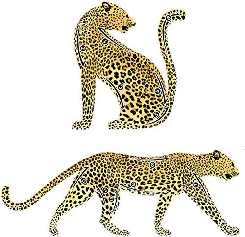 Aisonbo 2 in 1 Cat Eyeliner Stencil, Matte PVC Material Smoky Eyeshadow Applicators Template Plate, Cat Shape Eye liner & Eye Shadow Guide Template Tool for Beginner