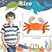 Winltendty Crab Shoulder Plush Toy with Magnet, Sea Animal Stuffed Animals Toy for Kids, Birthday Christmas Thanksgiving Gifts for Boys and Girls Party Decoration