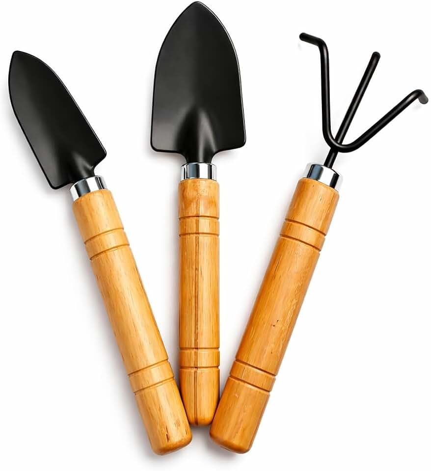 Kit para Jardinagem 3 Peças com Cabo de Madeira – Ferramentas para Jardim Pá, Transplantador e Cultivador para Suculentas, Bonsai, Cactus, Terrários, Vasos, Plantio de Ervas e Horta Indoor