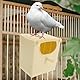 Yardwe 3 Stück Vogelzuchtbox Kunststoff Sittich-Zuchthaus Mit Sitzstange Für Vogelnisten Und Inkubation Nistkästen Für Finken Vogelvolierenkäfig Haustierfink Ordentlicher Spatz