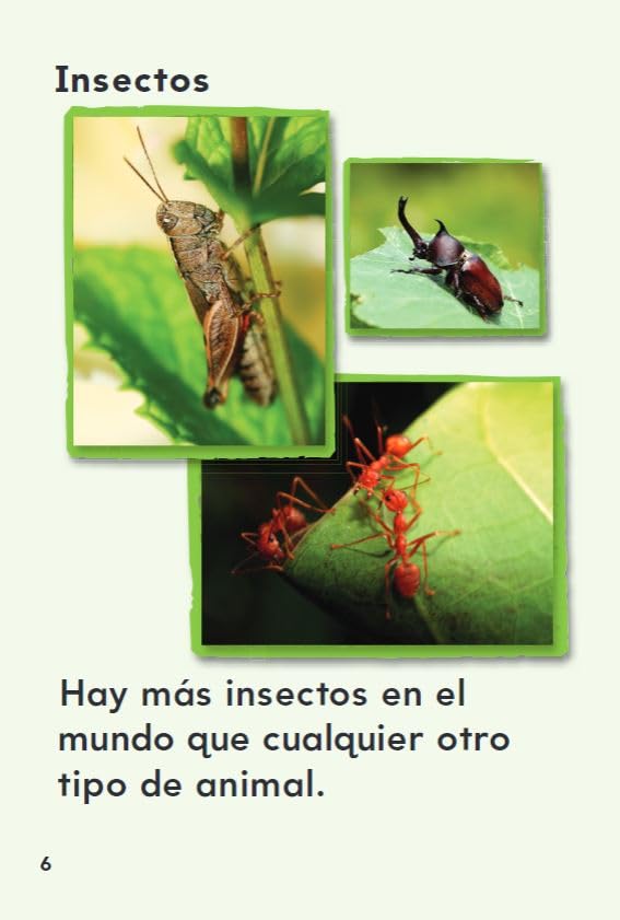 !Locos por insectos y aranas! (Going Buggy) (Spanish Version) (TIME FOR KIDS(r) Nonfiction Readers) (Spanish Edition) - Image 6