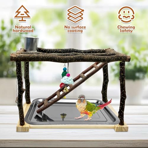 Perchoir en bois pour perroquets Tfwadmx avec mangeoires pour conure - 5