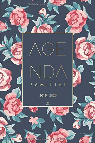 Télécharger Agenda Familial 2019 2020: Calendrier familial et Agenda Semainier 2019-2020 pour 4 membres de la fa Gratuit
