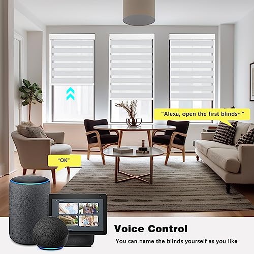 Image of Changshade Smart Zebra Blinds Motorized Shades Remote Control for Indoor Windows, Custom Size Electric Solar Panel Power Automatic Compatible with Alexa, Google Home, Apple Homekit, Blackout, Grey