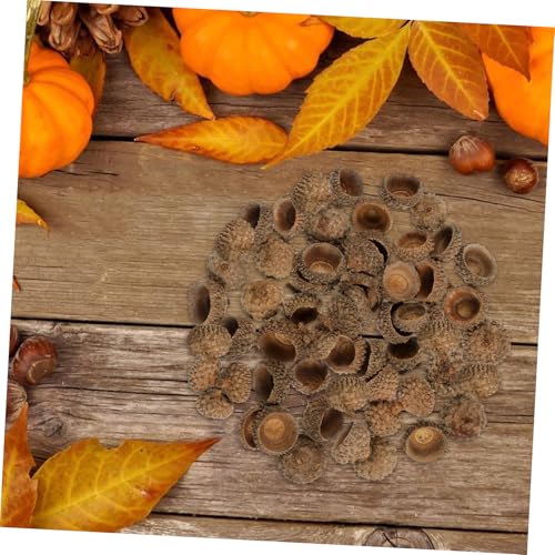 Set de 50 piezas de decoraciones de cáscara de bellota natural miniatura 4