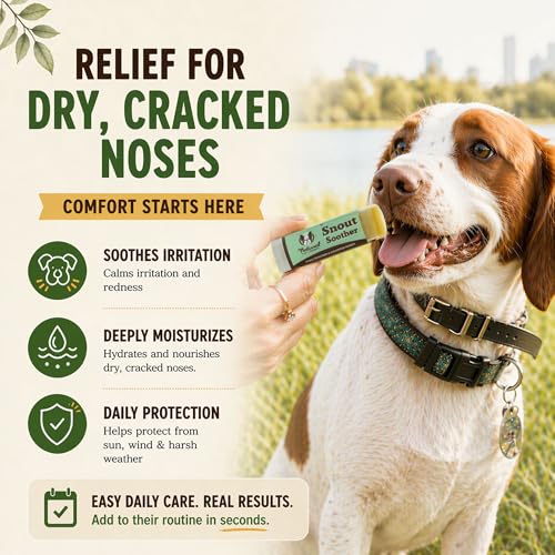 Image of Natural Dog Company Snout Soother Dog Nose Balm - Moisturizer for Dry Crusty Noses, Summer Care for Outdoor Dogs, Hot Weather, Beach Days & Walks with Coconut Oil & Shea Butter, 2 oz Tin (Pack of 2)