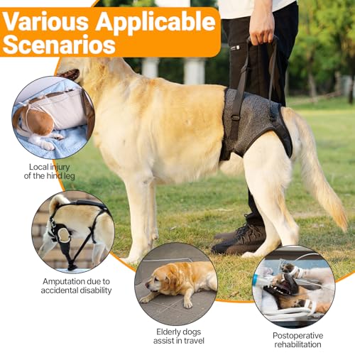 Attelle de jambe arrière pour chiens blessés et âgés XL réglable