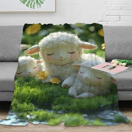 Couverture de voyage agneau 150x200cm contre frissons bureau