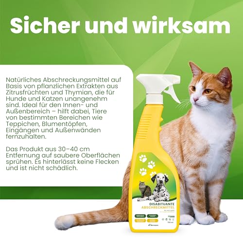 Dermazoo Katzenabwehrspray & Hundeschreck 750ml, Anti-Urin-Spray für Hunde & Katze, Katzenabwehr für Garten und Wohnung, Anti Kratz Spray Katzen, Fernhaltespray Möbel & Outdoor Katzenschreck