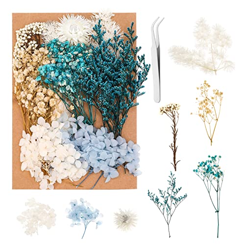 Heyu-Lotus Natürliche Getrocknete Blumen, DIY Natürliche Blumen Set für Trockenblumen Kunst DIY Scrapbooking Handwerk Karten Machen Heimdekoration Hochzeit