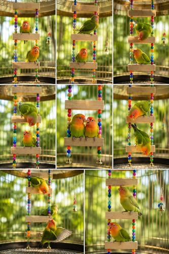 Image of Raindrops Bird Ladder Toy for Cage - Wooden Climbing Ladder with Colorful Beads & Bell|Bird Enrichment Toy for Budgies|Lovebirds & Small Birds|Training aid Toy (Heigth14 inch)