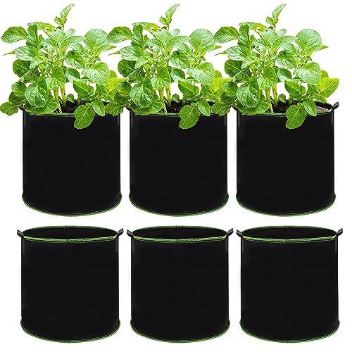 QMET 6Pcs Plant Grow Bags, 5 Gallon Thickened Breathable Nonwoven Fabric Plant Growing Pots Containers with Handles for Vegetables Flowers Herbs Potato Tomato Carrot Strawberry