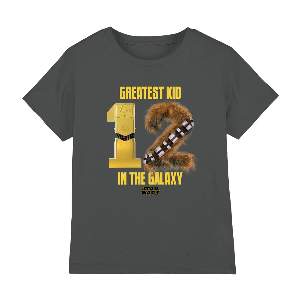 Star Wars Greatest Kid C3Po Chewbacca Kids T Shirt, Charcoal, 12-13
