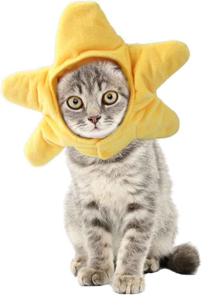 ANIAC Funny Cat Hat Yellow Starfish Small Dogs Cap Soft Star Shaped Puppy Headgear Halloween Pet Costume Warm Head Accessories for Rabbits Kitten Small Dogs