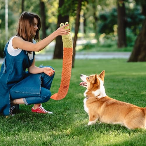 Treetopone Schnüffelspielzeug Hund,Intelligenzspielzeug Schnüffelteppich Hundespielzeug Intelligenz für Hunde,Gelb Schneckenform Interaktives Plüschspielzeug Hunde Geburtstag Geschenk