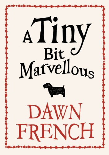 A Tiny Bit Marvellous view 2