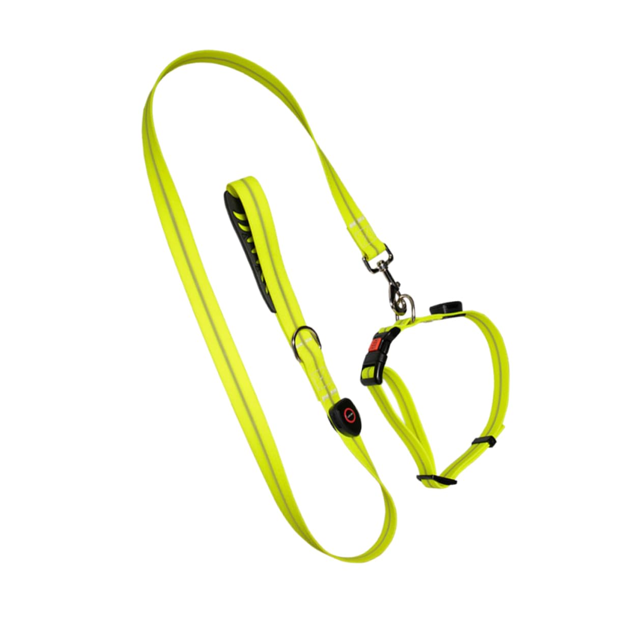 1juego Correa y Collar Led Luminosos para Perros De Cuerda De Seguridad para Paseo Nocturno y Protección De Mascotas