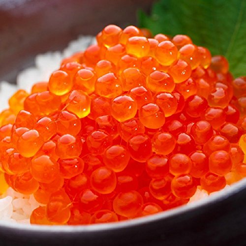 訳あり OWARI いくら 醤油漬け 北海道産 鮭卵 冷凍 1.5kg (500gx3パック)