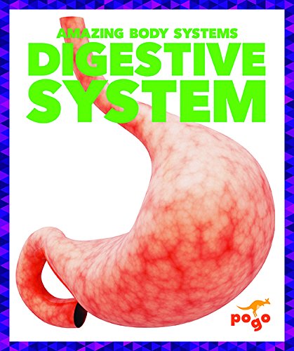 Digestive System