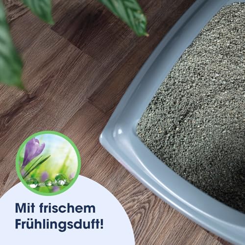 Biokat's Classic fresh 3in1 mit Frühlings-Duft - Klumpende Katzenstreu mit 3 unterschiedlichen Korngrößen - 1 Sack (1 x 10 L) – Ansicht 4