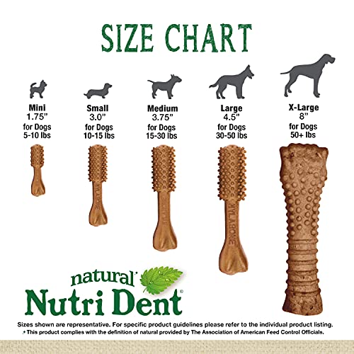 Image of Nylabone Nutri Dent Dog Dental Treats, Filet Mignon Flavor, 40 Count