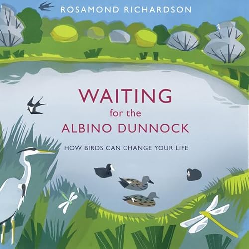 Waiting for the Albino Dunnock Audiolivro Por Rosamond Richardson capa