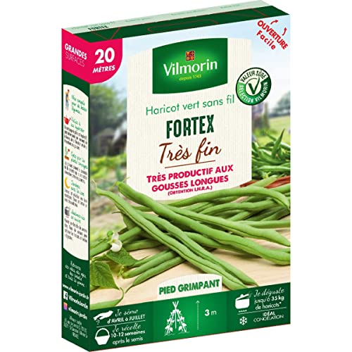 Vilmorin Haricot Vert sans Fil FORTEX 20 mètres