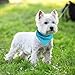 PAWCHIE Dog Bandanas Small Reversible Styles Pet Triangle Scarf Bibs - Adjustable with Two Snaps - Kerchief Set Accessories for Dogs, Puppy, Cats Red