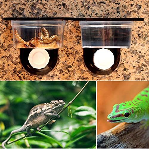 U/D Zuig Mini Wormschotel Reptiel Gecko Ledge Feeder Hoek Ruimtebesparing 2 Stks - Afbeelding 6
