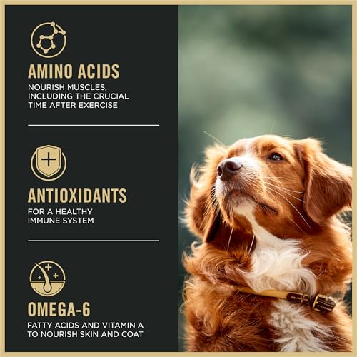 Purina Pro Plan Active, High Protein Dog Food, SPORT 27/17 Chicken and Rice Formula - 37.5 lb. Bag