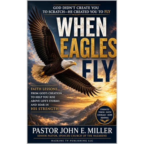 WHEN EAGLES FLY Audiobook By John E. Miller cover art