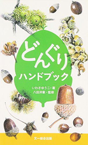 どんぐりから虫が出てこないようにする処理方法は どんぐりの遊び方や工作アイディアも 京都で理系的こそだて どんぐりから虫が出てこないようにする処理方法は どんぐりの遊び方や工作アイディアも 京都で理系的こそだて