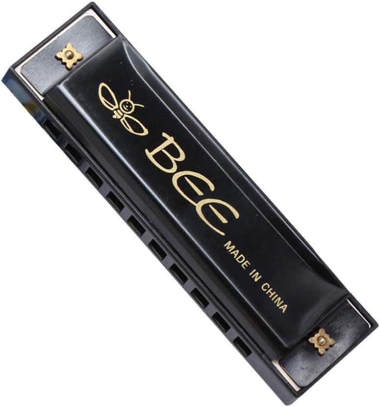 armoniche per adulti