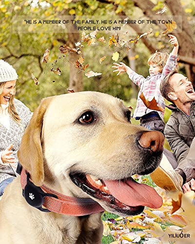 Airtag-Dog-Collar-Holder2-Pack-Silicone-Airtag-Case-for-Dog-CollarDog-GPS-Tracker-Case-for-Apple-Airtags-Anti-Lost-Air-Tag-Holder-CaseAirtag-Holder-with-Cat-Dog-Collar