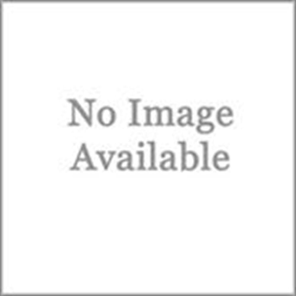 Caliber 8' Snowmobile Ski Carbide Glide Protector (2 Sections, 16' Total)