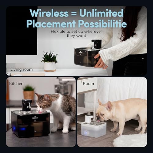 Fuente de agua inalámbrica para gatos con sensor de movimiento en casa 4